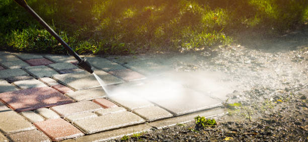 Animal Enclosure Cleaning in Woburn, MA